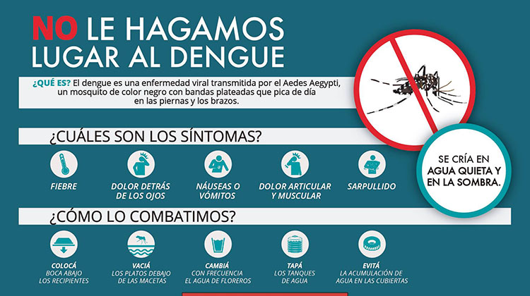 ​Secretaría de Salud: Dengue