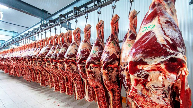 Carnes: Restricciones a la exportación 