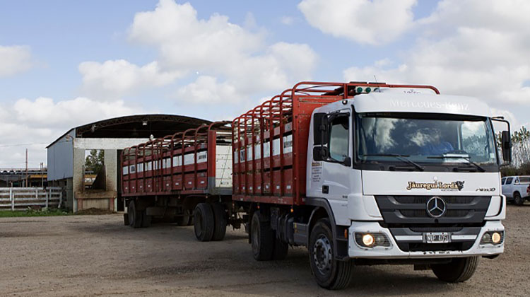 ​Emergencia agropecuaria: se readec&uacute;an normas de sanidad animal