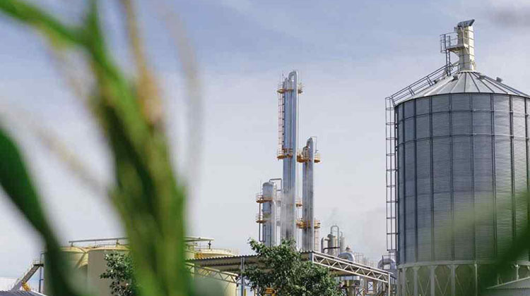 Más biodiesel para aumentar la oferta de gasoil