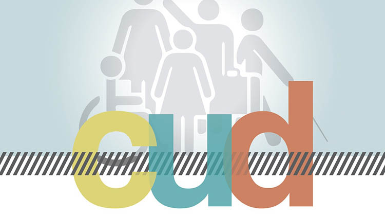 Certificado &Uacute;nico de Discapacidad