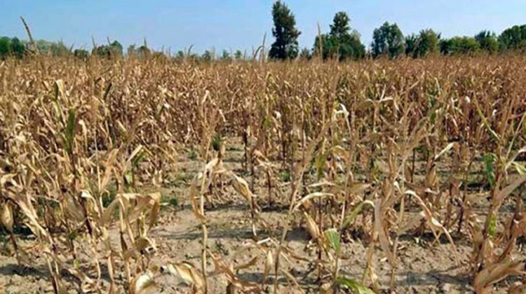  Provincia sale al auxilio de municipios afectados por la sequía
