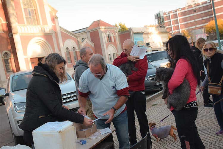 ​Positiva campaña gratuita de vacunación antirrábica