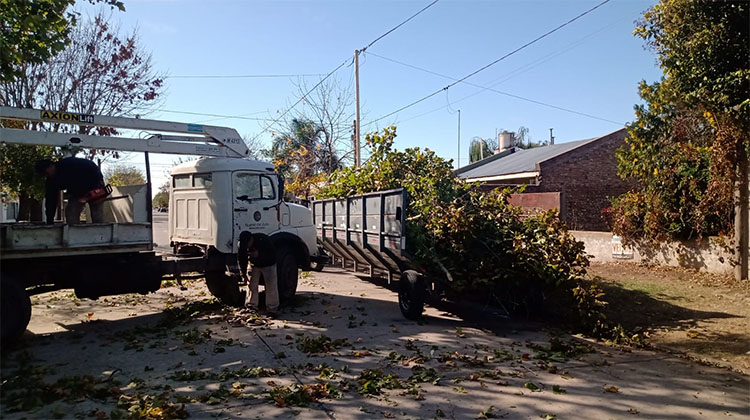 ​Comenz&oacute; una nueva campa&ntilde;a de poda