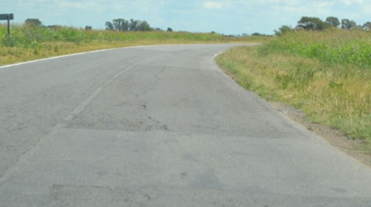 Ruta 65: Piden a provincia que se realicen tareas de desmalezamiento entre Junín y 9 de Julio