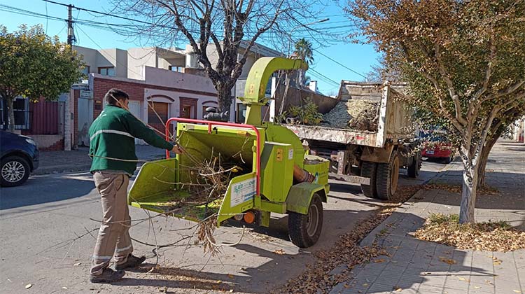 ​Contin&uacute;a la campa&ntilde;a de poda