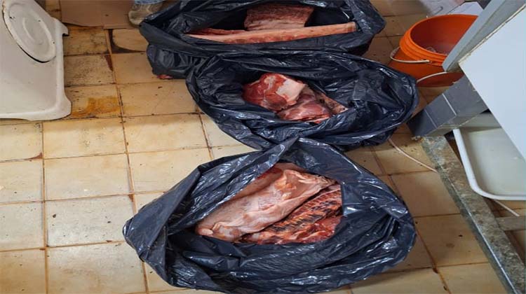 Decomisan carne de cerdo de una carnicer&iacute;a