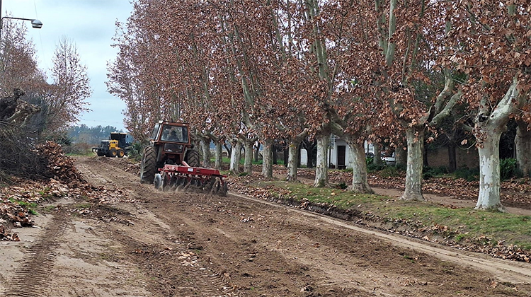 ​Reparación de calles French