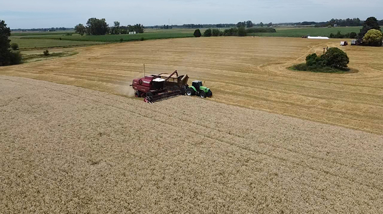 ​“Ser Agricultor es un estilo de vida, semejante tarea es un sentimiento que apasiona”