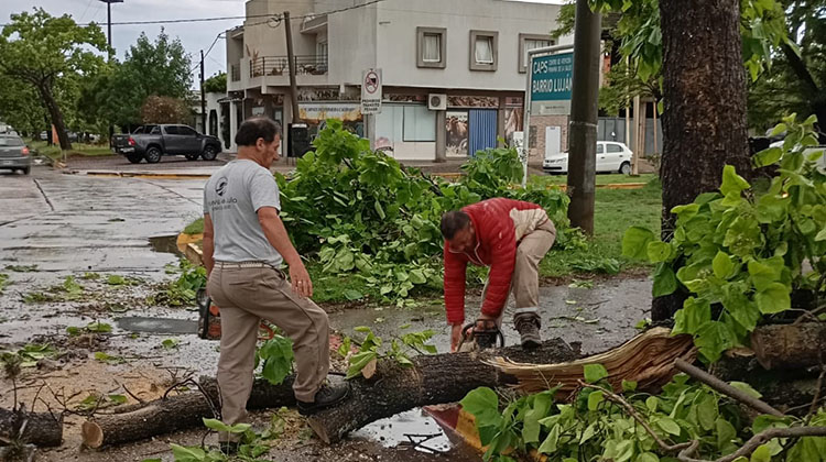 Intensas tareas tras la tormenta