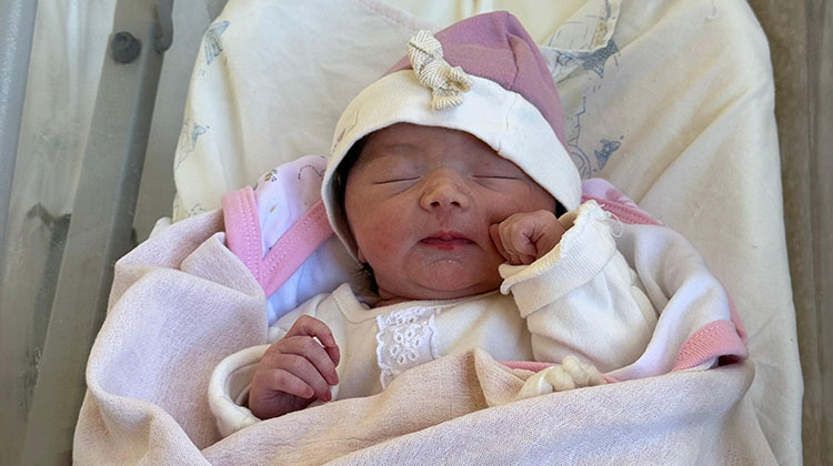 Bienvenida Alba