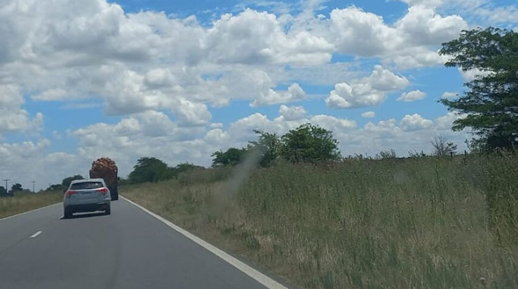 ​Gentile elev&oacute; reclamos urgentes por obras de mantenimiento para la Ruta 5