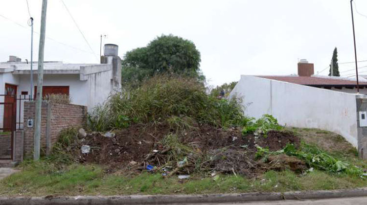 Se recuerda la obligatoriedad de limpiar los terrenos bald&iacute;os