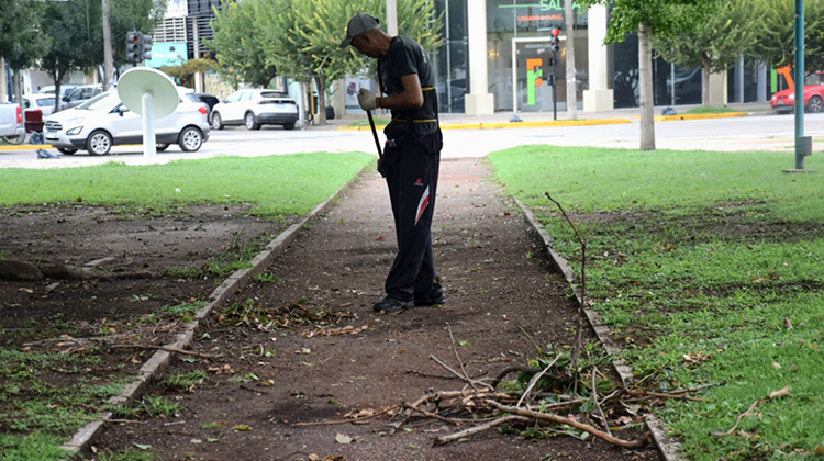 ​Plaza Belgrano: Trabajos de limpieza tras el temporal