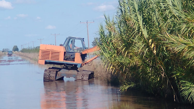 ​Continúan los trabajos en canales y caminos