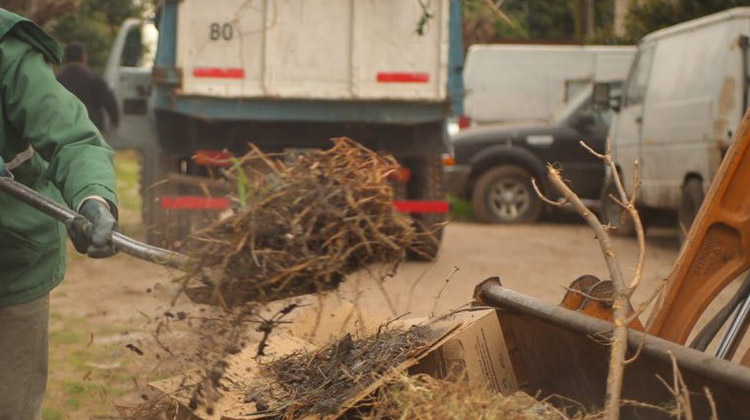 El domingo no habr&aacute; recolecci&oacute;n de carpido y reciclables