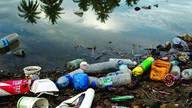 D&iacute;a Mundial del Medio Ambiente
