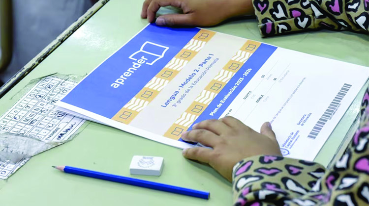 Educaci&oacute;n: Preocupantes resultados de Aprender 2024