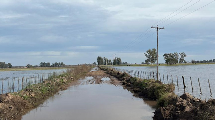 Sem&aacute;foro de Caminos Rurales