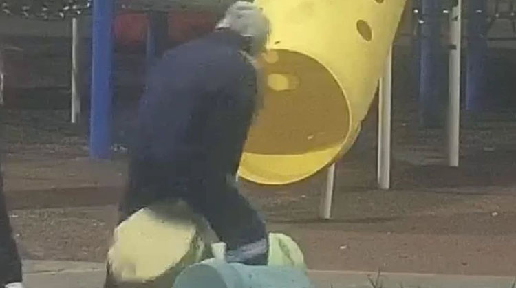 Reiterado vandalismo en el Parque