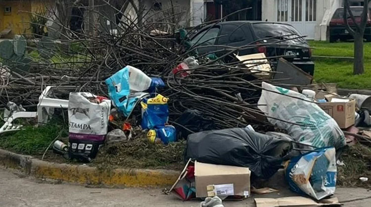 ​Se avanza en la campa&ntilde;a de limpieza de microbasurales