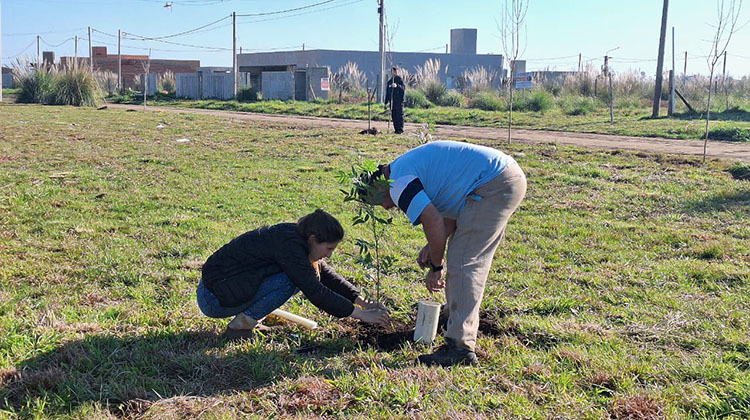 ​D&iacute;a del &Aacute;rbol