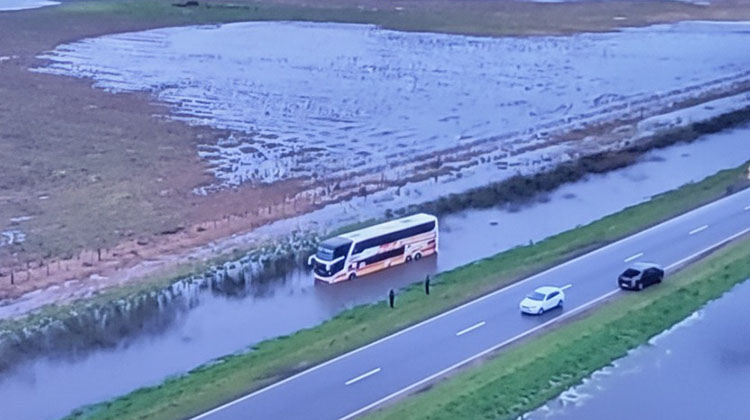 Un micro se despist&oacute; por r&aacute;faga de viento en Ruta N&deg; 5