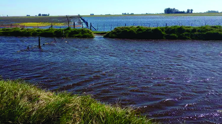 Nación declaró la emergencia agropecuaria en 9 de Julio