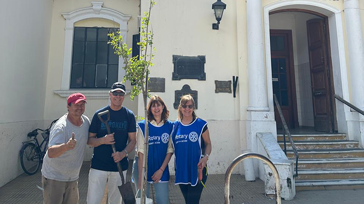 Continúa la plantación de árboles donados por Rotary Club