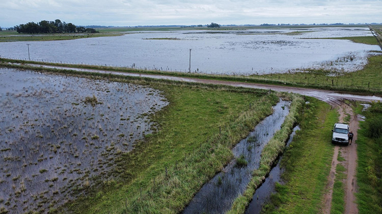 Emergencia y o Desastre Agropecuario