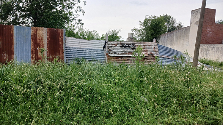 news_21791_1761304581.jpg