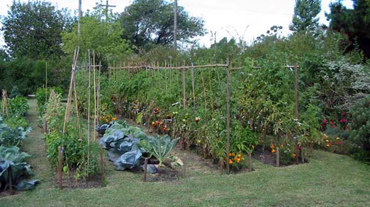 Charla sobre Huerta de Primavera