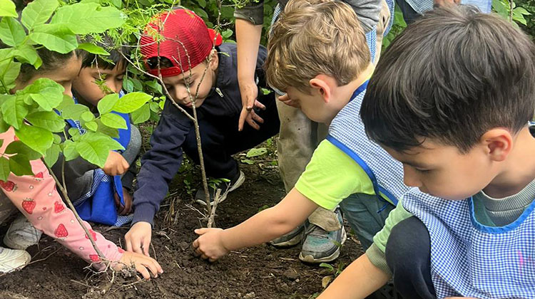 Forestación en la Isla del Parque