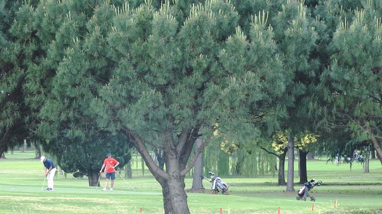 Actividad golfística en el Club Atlético