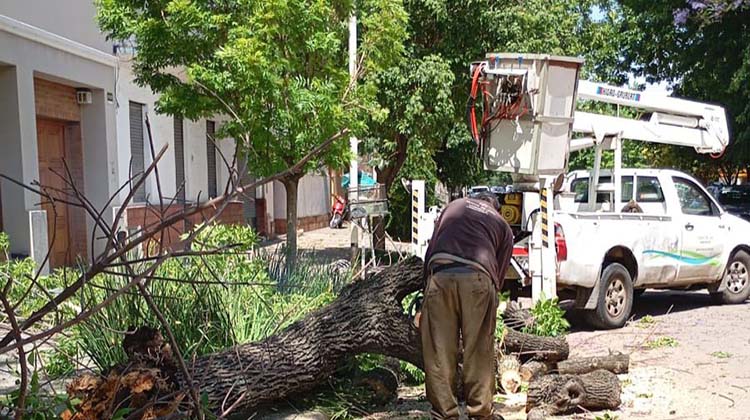 Trabajos del municipio por el temporal