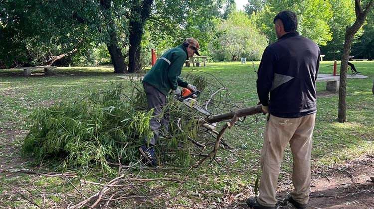 Contin&uacute;an los trabajos del municipio tras el temporal