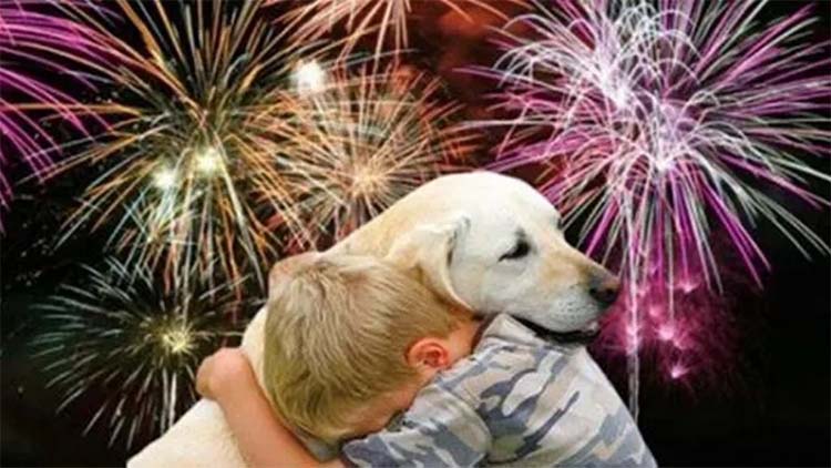 Controles por comercializaci&oacute;n de pirotecnia