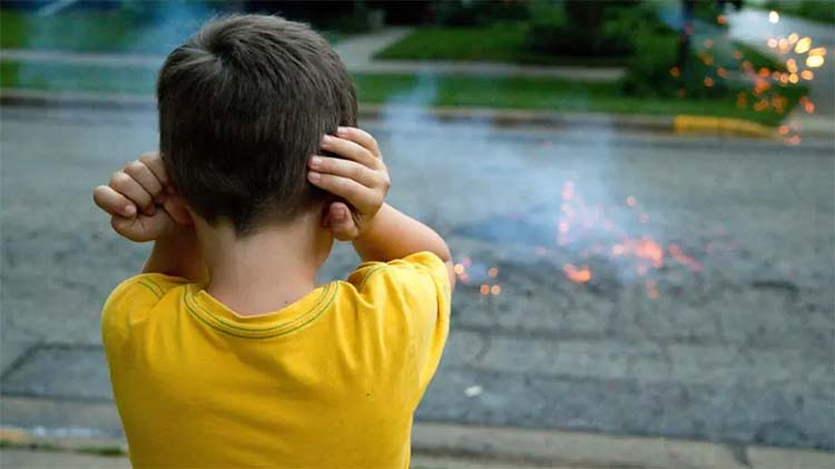 ​Prohibici&oacute;n de pirotecnia sonora