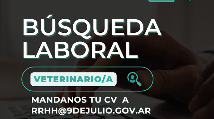 ​B&uacute;squeda laboral
