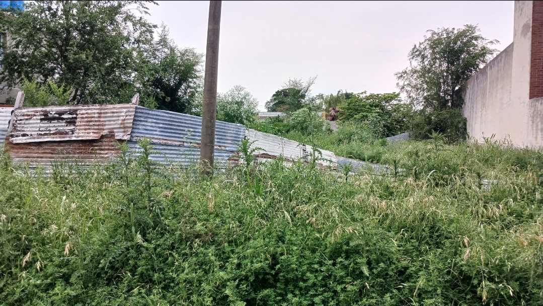 Obligatoriedad de limpiar los terrenos bald&iacute;os