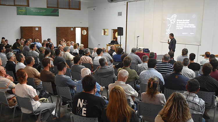 Procedimiento de Identificaci&oacute;n electr&oacute;nica en bovinos 