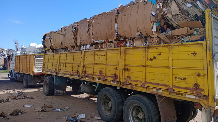 Cart&oacute;n y papel: recuperaron m&aacute;s de 21 toneladas