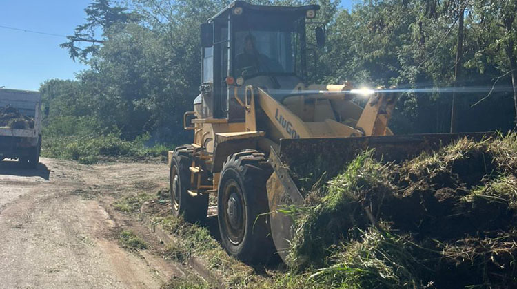 ​Jornadas de limpieza y concientizaci&oacute;n ambiental