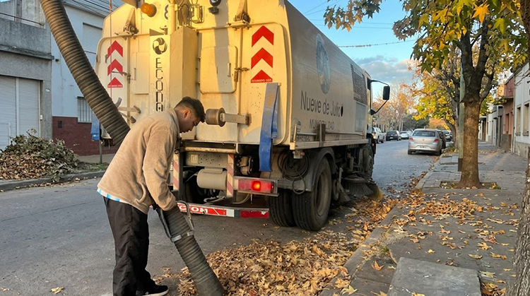 El municipio intensifica operativos de barrido y recolecci&oacute;n de hojas