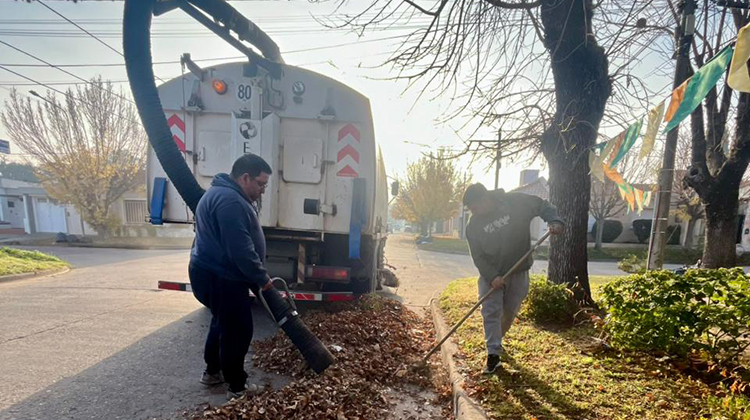 Refuerzan el barrido y la recolecci&oacute;n de hojas en la ciudad
