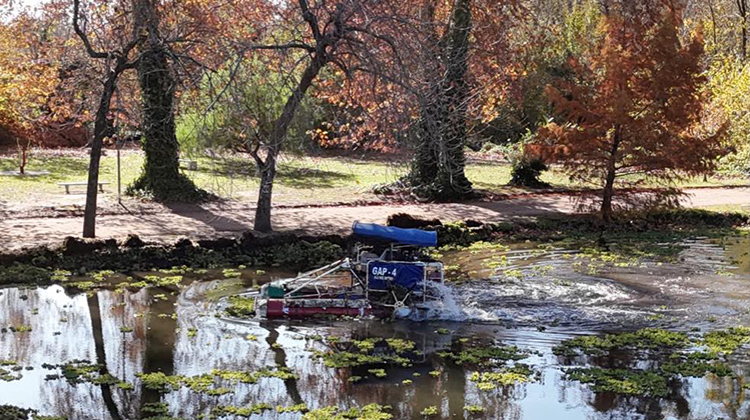​Parque Gral San Mart&iacute;n
