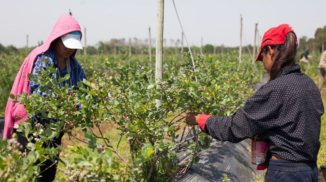 Programa de Empleo Rural del RENATRE