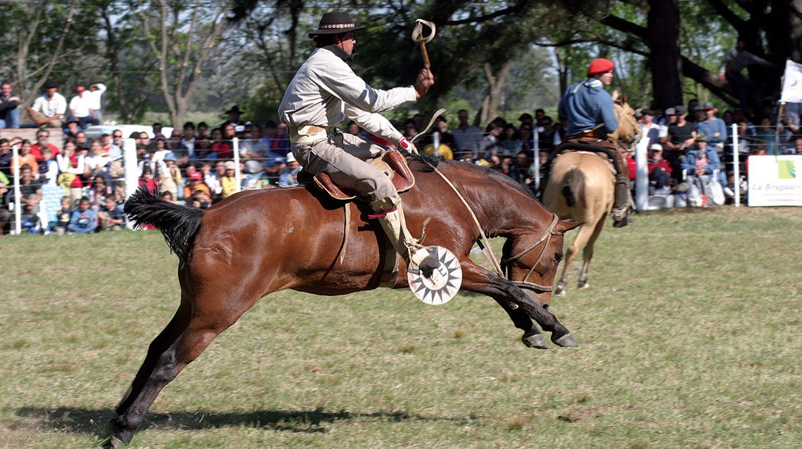 ​Suspenden la jineteada de la Fiesta Nacional del Caballo