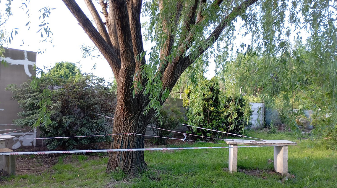 El municipio intervino ante denuncia por envenenamiento del &aacute;rbol de una plaza