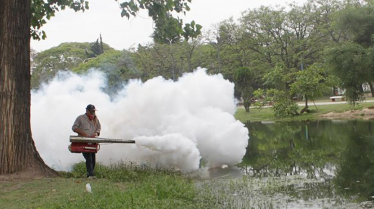 Combate al dengue